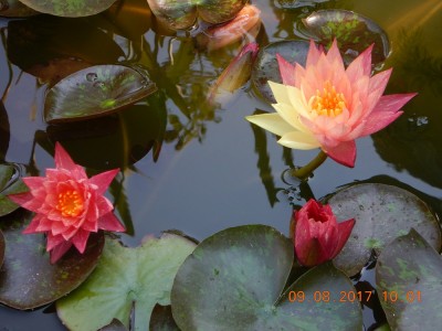 DSCN1579.JPG