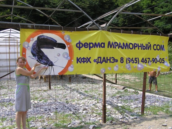 форелевое хоз-во за Б. Кичмаем - P8040101 (Копировать).JPG