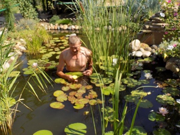 А вот и мой водоёмчик ст. Павловская. - DSCN0049а.JPG